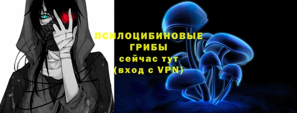 герыч Лагань