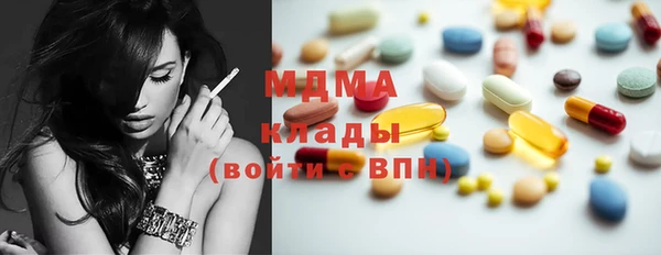 крисы Кулебаки