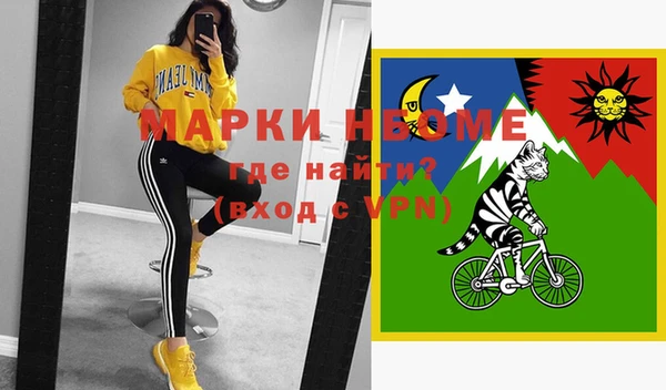 крисы Кулебаки