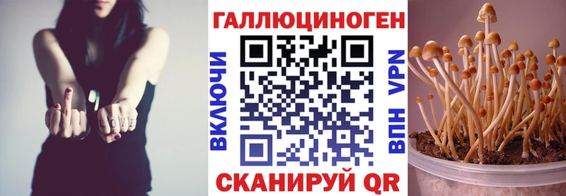 цены   Усть-Катав  Псилоцибиновые грибы Psilocybine cubensis 
